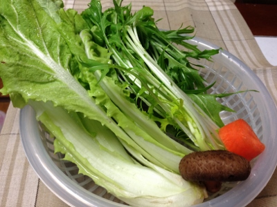 ドッグ☆山東菜とカツオのなまり節炒め・材料１